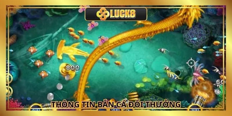 Thông tin cơ bản về game săn cá trực tuyến hot hit